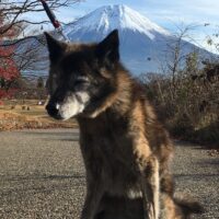 アバター画像